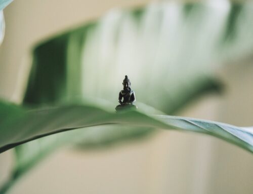 Gravity impacts our yoga practice. Find out how